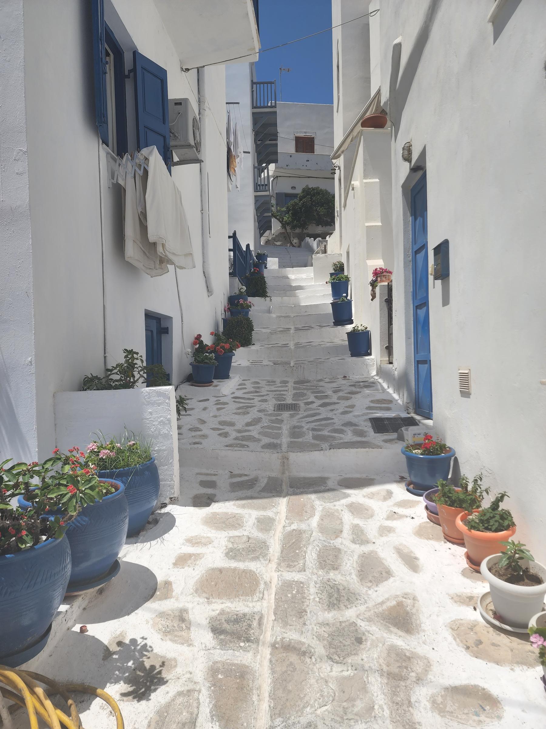 A whitewashed Chora lane climbing in steps between blue pots of geraniums