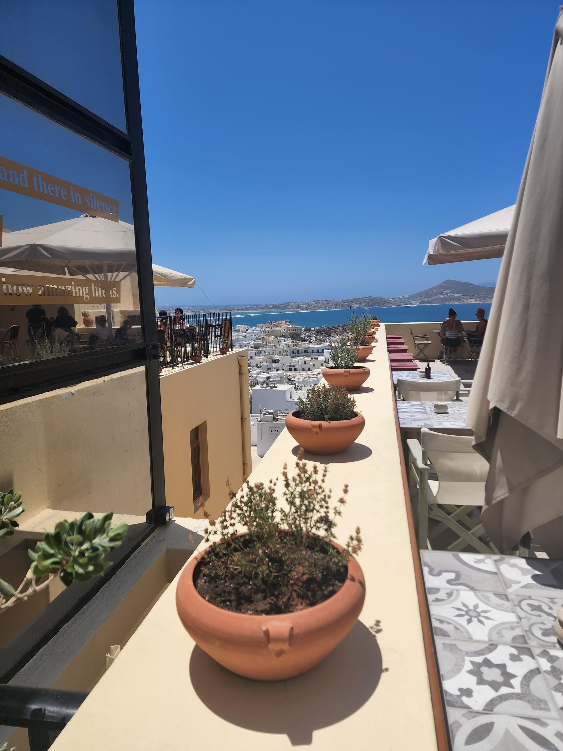Terracotta pots of thyme along a terrace wall above the white rooftops of Naxos town, with Paros across the blue water