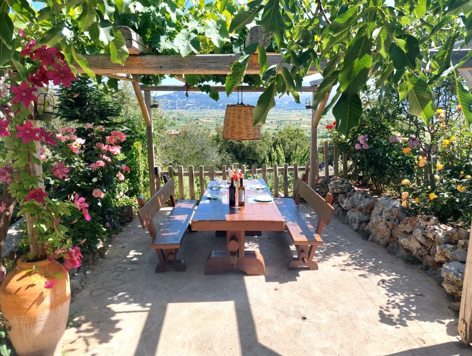 A wooden table set for lunch under a vine-covered pergola, with the Lassithi plateau spread out below